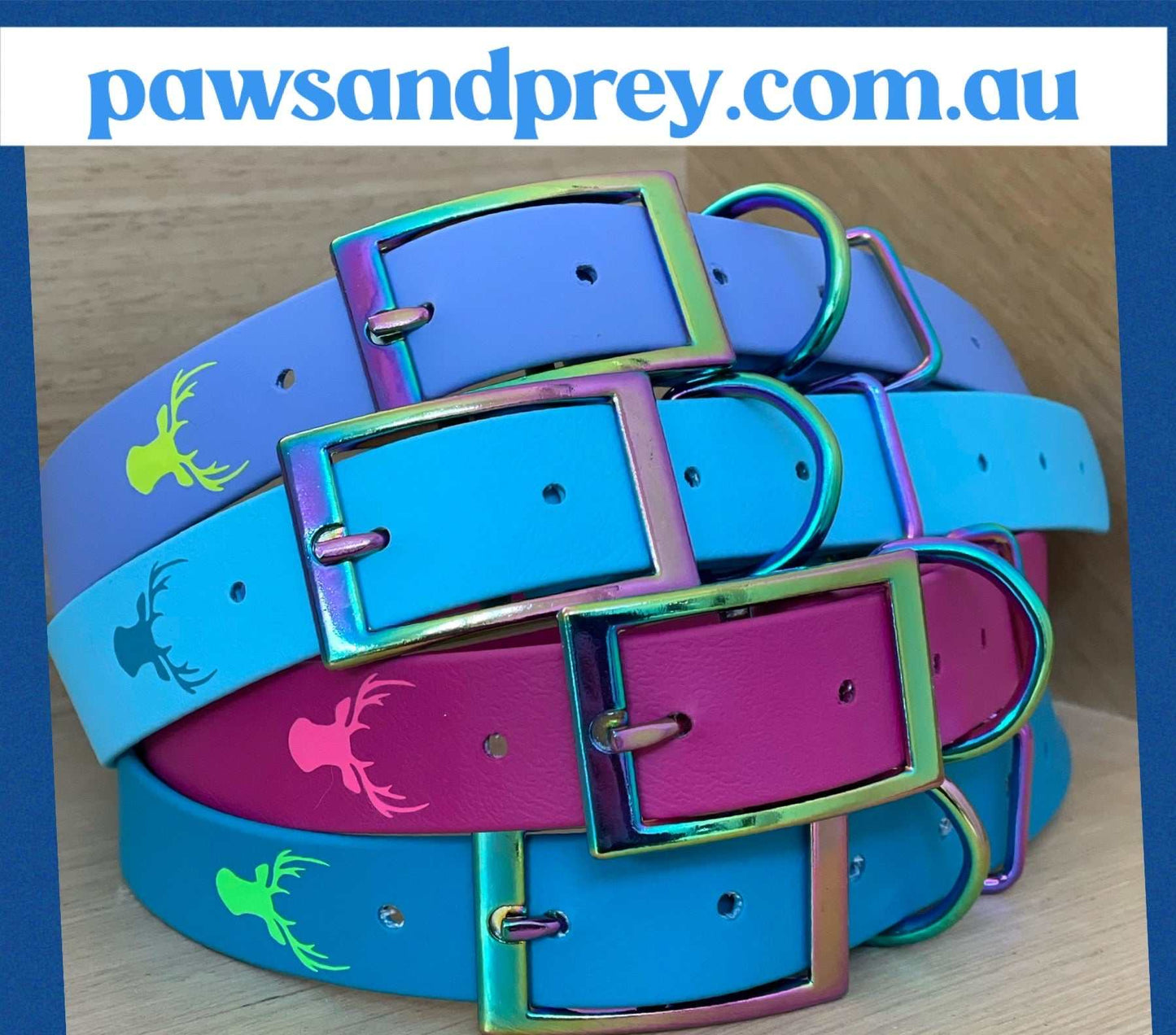 25mm biothane dog collar custom made