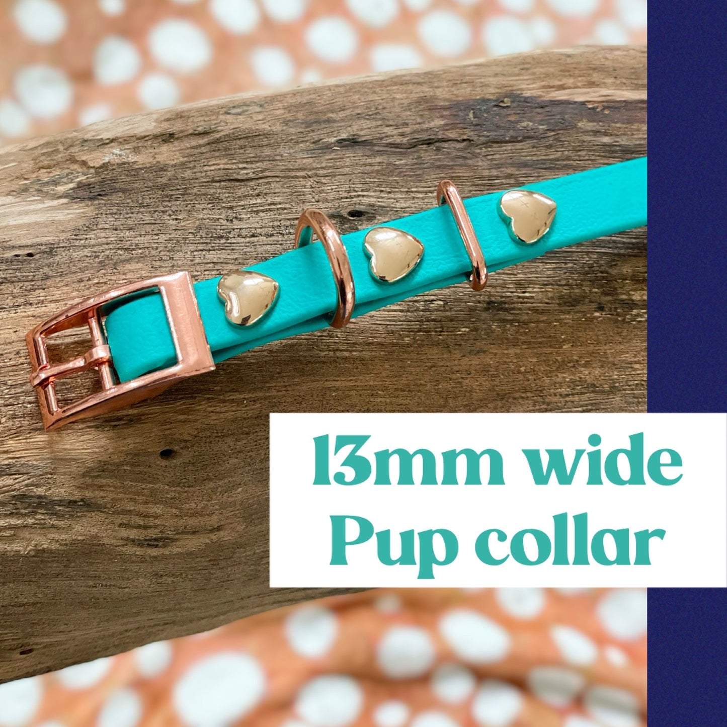 Boithane dog set, Teal and Rose Gold