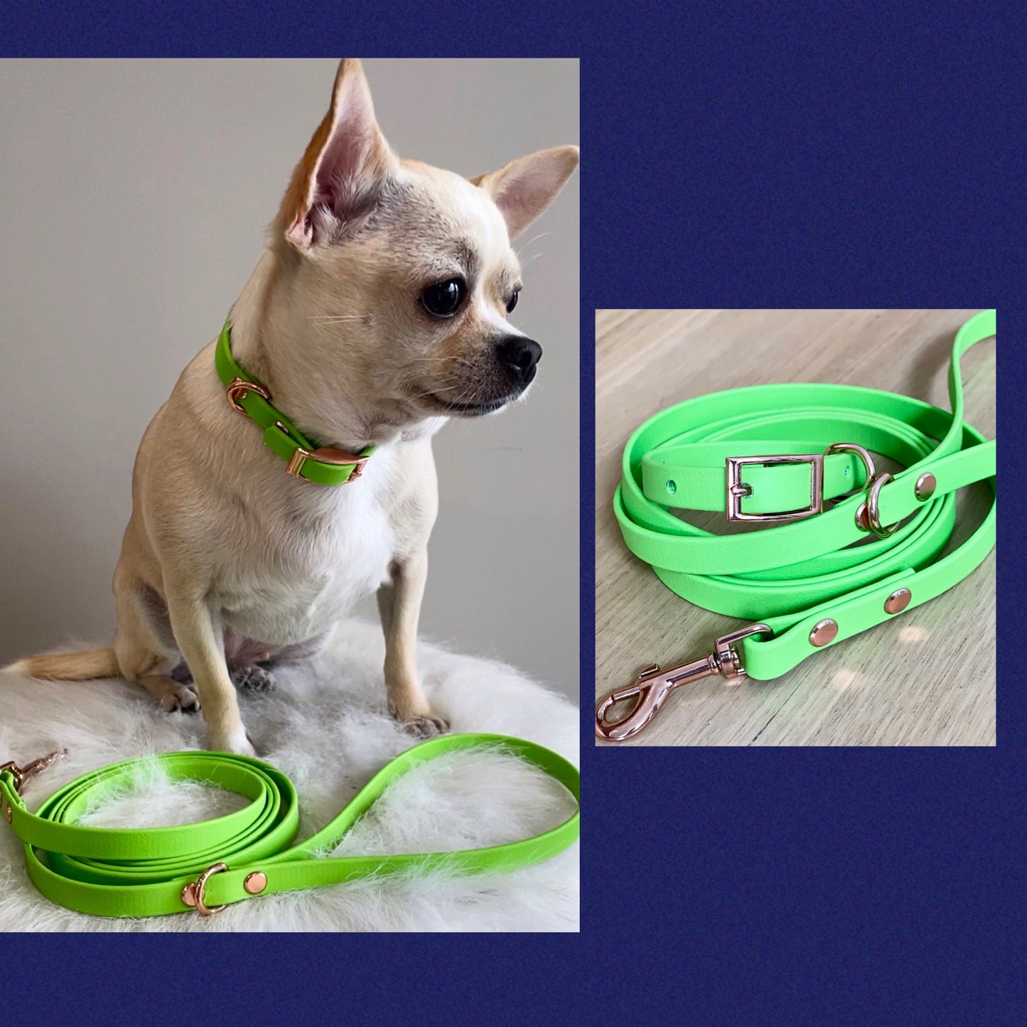 Custom collar for small dog, made to size