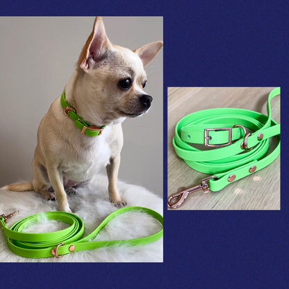 Custom collar for small dog, made to size