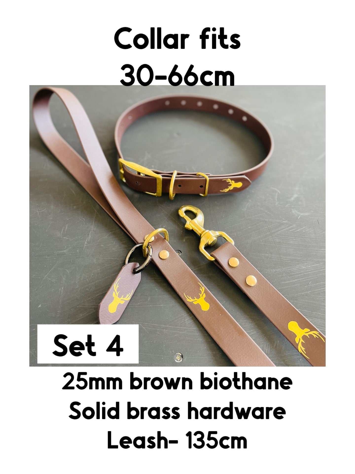 25mm wide Biothane dog collar