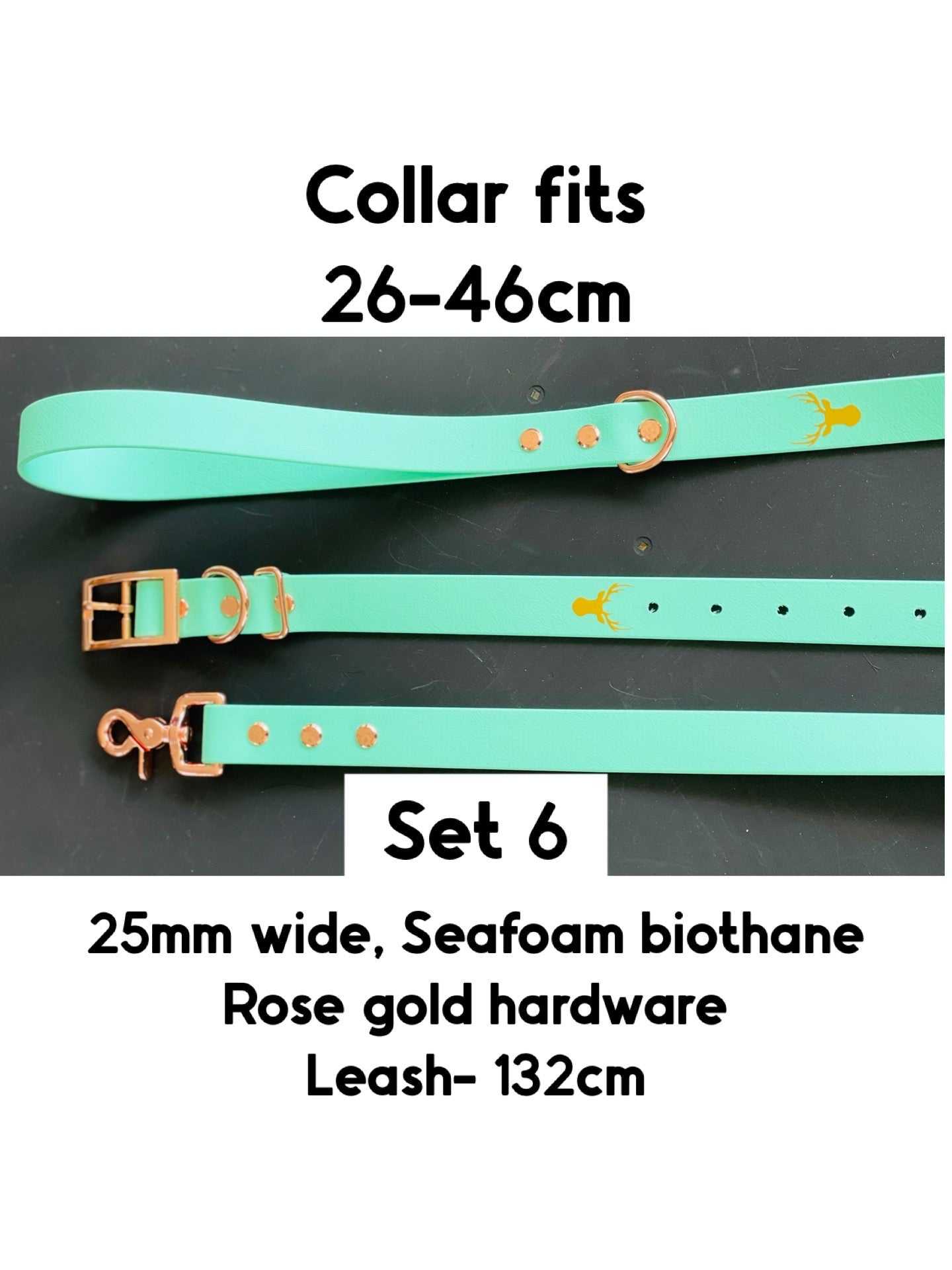 25mm wide Biothane dog collar