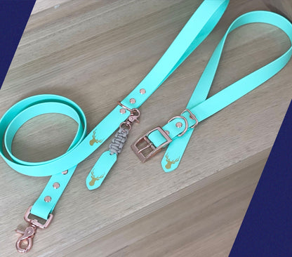 Waterproof dog collar and leash set, Biothane, Rose Gold